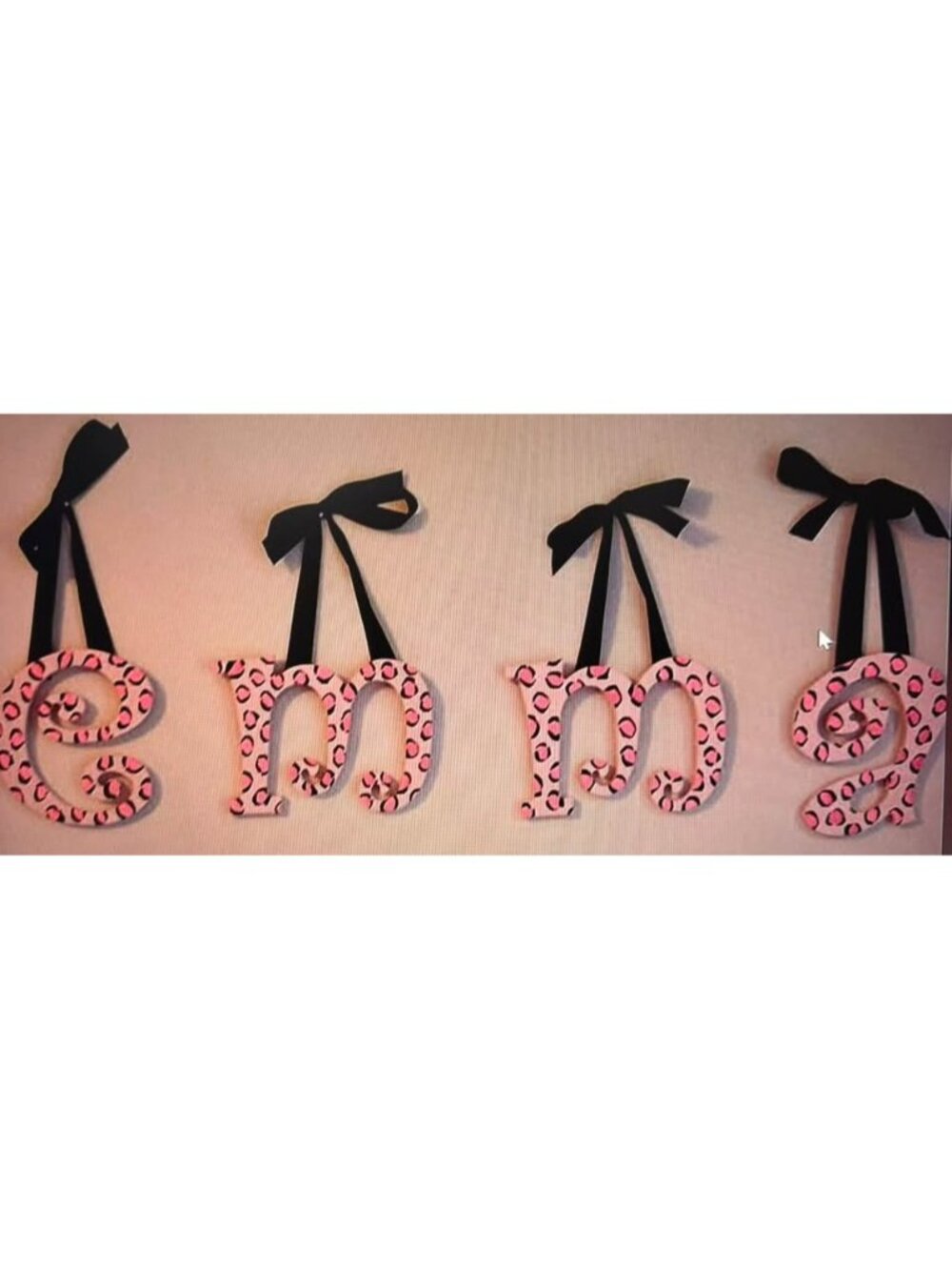 Custom Made Leopard Print "Emma" wall decor Paid $75